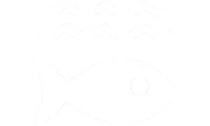 Goal 14 Life Below Water