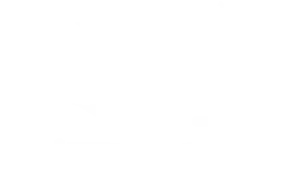 Goal 16 Peace, Justice, and Strong Institutions