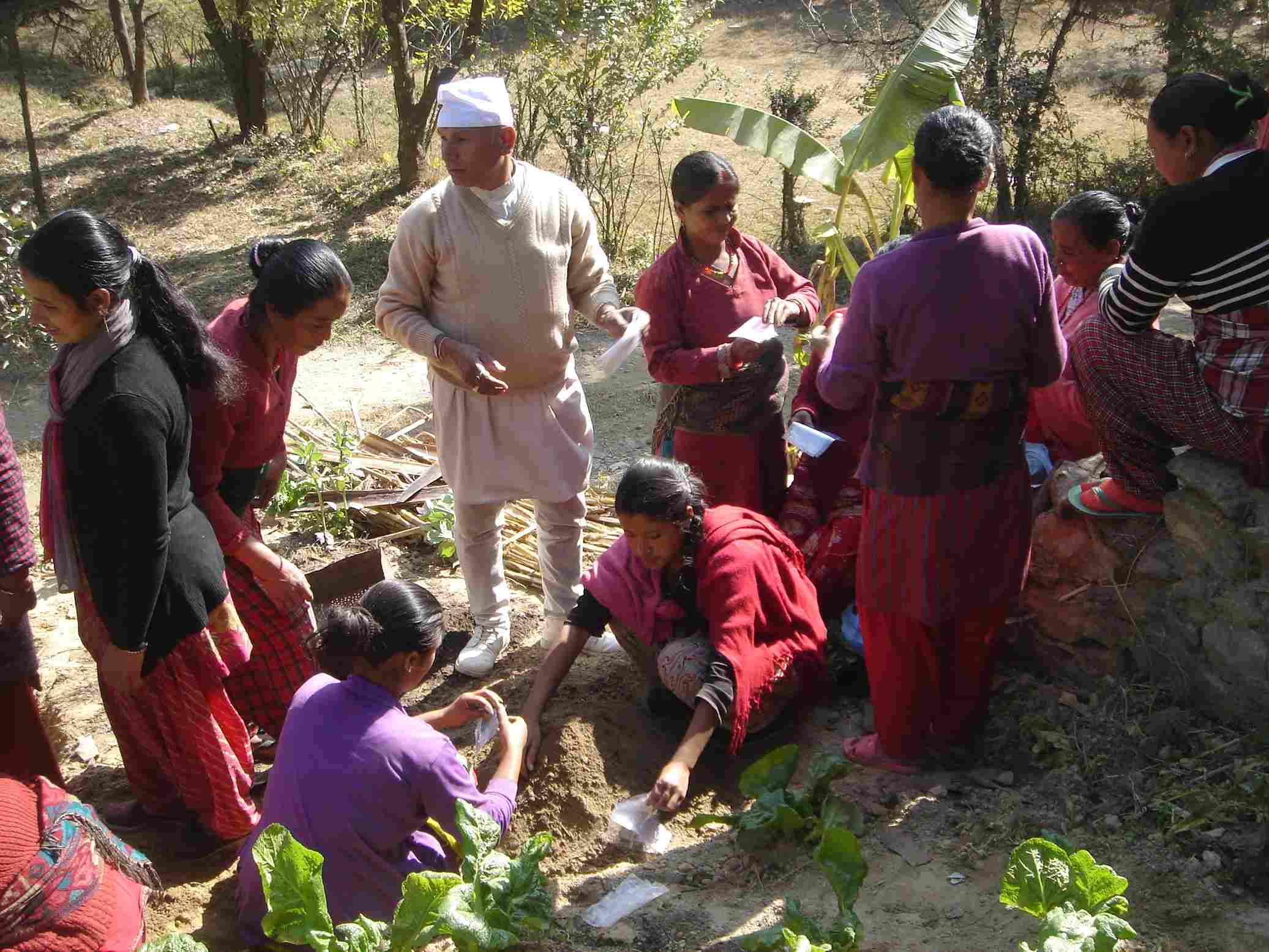 Volunteers planting trees in Nepal for reforestation project