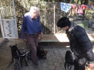 Animal-Welfare- Protection
