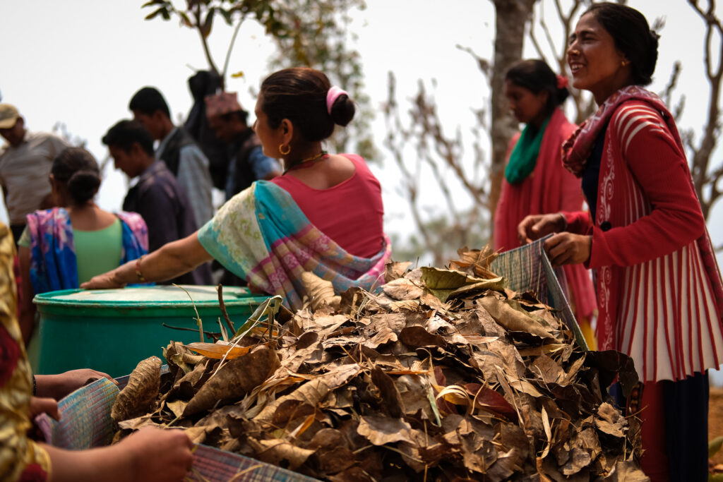 Women in rural Nepal participate in a permaculture training program, gathering dry leaves for composting as part of a sustainable community project.