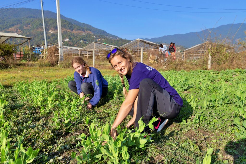 Volunteers farming for the passive natural refinement.