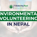 Volunteer planting trees in Nepal’s lush forests as part of an environmental conservation project.