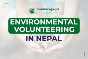 Volunteer planting trees in Nepal’s lush forests as part of an environmental conservation project.